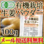 オーガニック 生姜 パウダー100ｇ 有