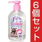 手ピカジェル 300ml 〔医薬部外品〕×6個セット - 健栄製薬