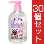 手ピカジェル 300ml 〔医薬部外品〕×30個セット - 健栄製薬 送料無料