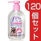 手ピカジェル 300ml 〔医薬部外品〕×120個セット - 健栄製薬 送料無料