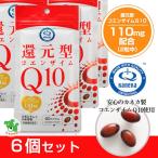 還元型コエンザイムQ10 465mg×60カプ