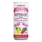ヒカリ オーガニックぶどうサイダー＋レモン 250ml×30個セット - 光食品 [ヒカリ食品]