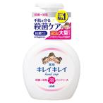 ライオン　キレイキレイ　泡ハンドソープ　シトラスフルーティーの香り　500ml 《医薬部外品》 [LION]
