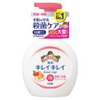 ライオン　キレイキレイ　泡ハンドソープ　フルーツミックスの香り　500ml 《医薬部外品》 [LION]