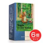 ゾネントア Sonnentor 森のヨギーズティー 1.2ｇ×18袋×6個セット - おもちゃ箱 [ハーブティー]