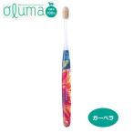 オルマ 歯ブラシ ガ−ベラ - タウハウス ※メール便対応商品