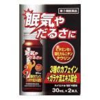 【第3類医薬品】 ハイエナル88内服液 30ml×2本 - 米田薬品 [眠気/倦怠感]