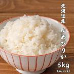 セール 【白米】 令和7