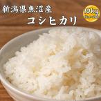 セール 【白米】令和7