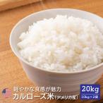  распродажа жизнь отвечающий .! America производство рис 20kg(10kg×2 пакет ) бесплатная доставка для бизнеса большая вместимость массовая закупка . сделка kospa America производство белый рис рис . рис 