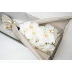 大輪 高級胡蝶蘭  御祝 ギフト 胡蝶蘭が切り花として登場   大輪胡蝶蘭  5本入り/ホワイトです。