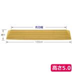 母の日 バリアフリー リフォーム 住宅改修 お掃除ロボ タッチスロープ 100 / TS100-50 高さ5.0cm 母の日 敬老の日 プレゼント 80代 孫 70代 / 462006