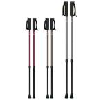 しっかり2本杖 ステッキ 杖 歩行支