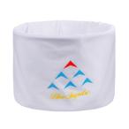 ブルーインパルス創設60周年記念 ネ