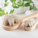 アートブラシ ボディブラシ＆フェ�