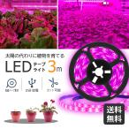 Yahoo! Yahoo!ショッピング(ヤフー ショッピング)植物育成ライト LED グローライト テープ 3m USB 光合成促進 防水  家庭菜園 室内園芸  塊根植物 日照不足解消　観葉植物