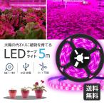 植物育成ライトLEDグローライトテ...