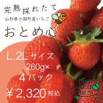 イチゴ好きのイチゴです！イチゴ４パック（約260gx4）2L、Lサイズ　完熟採れたてイチゴです。山形県産「おとめ心」是非お試しください