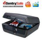 Sentry цент Lee портативный выдерживающий огонь * водонепроницаемый шкаф для хранения ( Tubular ключей ) 10.2L угольно-серый CHW30200 30 минут выдерживающий огонь 