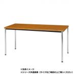 藤沢工業(TOKIO)　ミーティングテーブル　TDW-1260M チーク