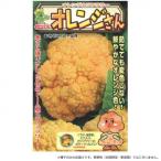 小林種苗 カリフラワー種子 オレンジさん　7245　1000