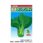 小林種苗 チンゲンサイ種子 陽夏　6　2dl