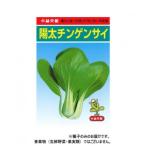 小林種苗 チンゲンサイ種子 陽太　7　2dl