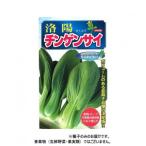 小林種苗 チンゲンサイ種子 洛陽　8　2dl