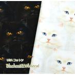 猫好き集まれ/ＵＳＡコットン/ROBERTKAUFMAN/Blackcat＆Whitecat/ブラックキャット＆ホワイトキャット/生地/布/猫//柄/リアル柄/黒白