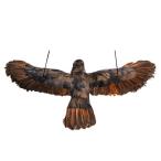  подлинный товар целиком!k заем ястреб птица ..taka подвешивание ниже type 