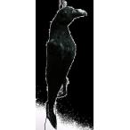 �J���X�悯�O�b�Y ���ǂ��J���X �������