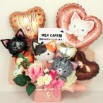 op004�@�J�X�j���o���[���@�u4�C��CAT�˂��L�l�R�@�l�R�J�t�F�A�����a�@�ɂ������ł��傤���H�@4�C�˂������n�J�X���߂łƂ��o���[���A�����W�v