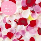 ラブリーシャワー プチギフト イベント 花びら
