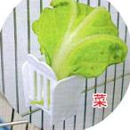  зеленый держатель / корм inserting . inserting .. . зажим клетка мера маленькая птица se регулирование o черепаха длиннохвостый попугай документ птица HOEI