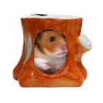  порез АО. . часть магазин большой / золотой хомяк gold медведь ja- Bill Momo nga. пол house . дом SUDOpi колли no