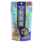 おやつにプラス乳酸菌/牧草繊維うさ...