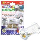  four Gin g игрушка .... барабан / игрушка закуска inserting прозрачный teg- шиншилла маленькая птица солнечный ko-SANKO три . association 