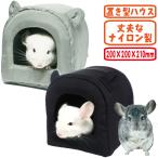  Rainbow шиншилла .... Home / уголок имеется house . пол подвешивание ниже нейлон Rainbow