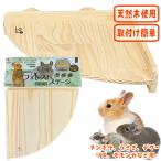  forest stage угол M/ клетка мера развлечение место подножка леса белка Momo nga шиншилла teg-..SANKO три . association 