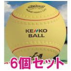  школа физическая подготовка софтбол сертификация 3 номер (6 шт ) KS12-PUR-6nagase Kenko 