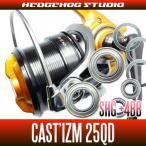 ダイワ キャスティズム 25QD用 フルベアリングチューニングキット 【SHGプレミアムベアリング】