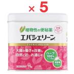 エバシェリーン 75g ×5 指定第2類医薬品