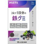 からだグミ 鉄グミ 30粒 山本漢方 鉄分
