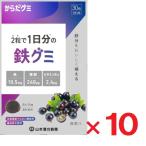  из .gmi металлический gmi30 шарик ×10 шт Yamamoto китайское лекарство железо 