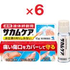 sa cam уход a 10g×6 no. 3 вид фармацевтический препарат 