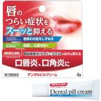 デンタルピルクリーム 5g 指定第2類医薬品