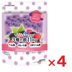 hi...Fe уход 3 вид. металлический слива & Berry способ тест 11mg 1.5g×15 пакет ×4 шт 