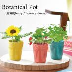 植物 栽培 栽培セット 栽培キット 家庭菜園 （ボタニカルポット　全3種）聖新陶芸