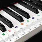 yuecheng 88/61/54/49 カラフルキー ピアノ キーボード ステッカー 音符シール 剥がせる フィンガープラクティス ガイド 透