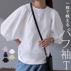 tシャツ レディース 半袖-商品画像